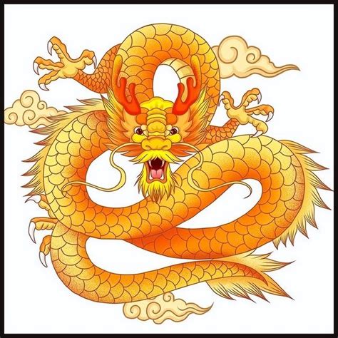 四大靈獸|國學精講系列（三）：四大瑞獸：龍、鳳、麒麟和龜